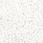 Miyuki seed beads 11/0 - Opaque white 11-402